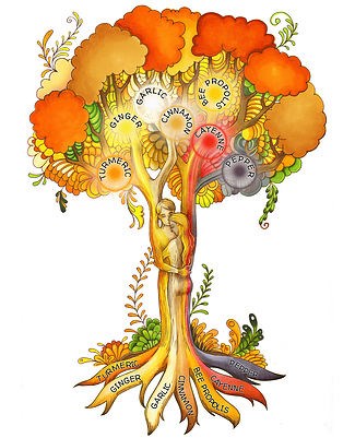 Herbal Medicine: COREBIOTICS